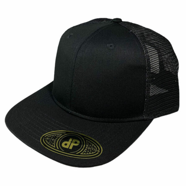 6 Panel Black Mesh Snapback