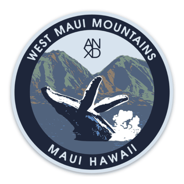 anxd west maui breaching whale sticker