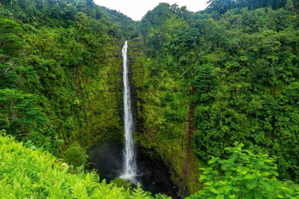 akaka falls waterfall